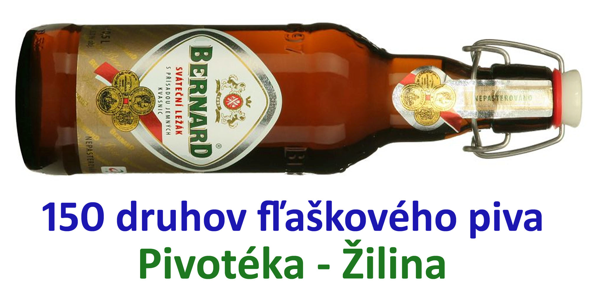 bernard pivo
